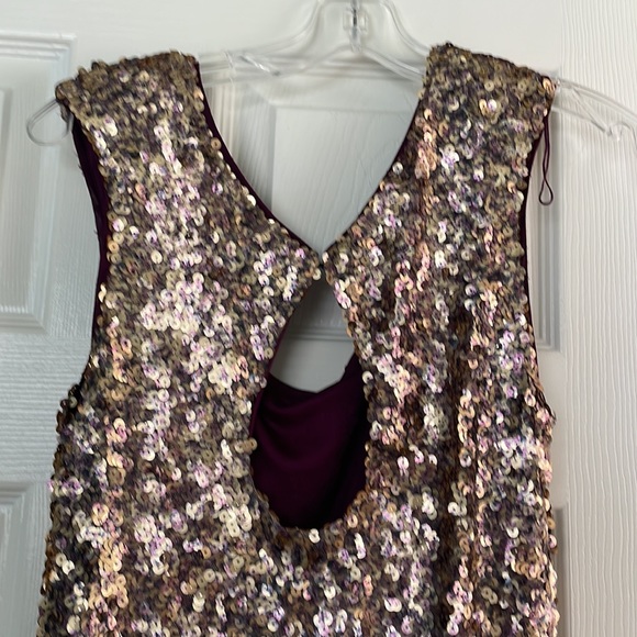 Cache Sequin Dress Key Hole back with Hook Closure. Beautiful and FUN - Picture 3 of 4
